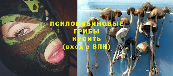 a pvp Абаза