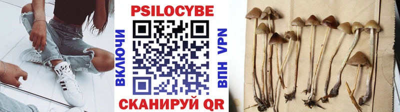 shop телеграм Краснодар Псилоцибиновые грибы ЛСД