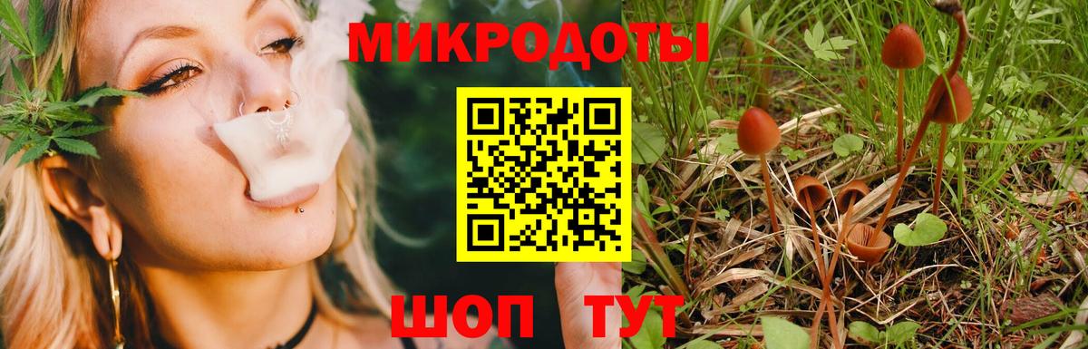 Галлюциногенные грибы GOLDEN TEACHER  Вход с VPN  Краснодар 